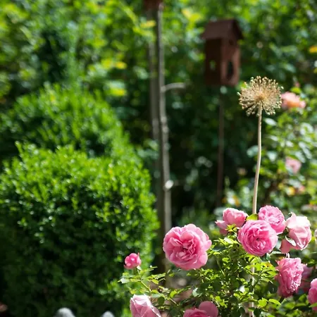 Gaestehaus Hornegger Vendégház Mayrhofen