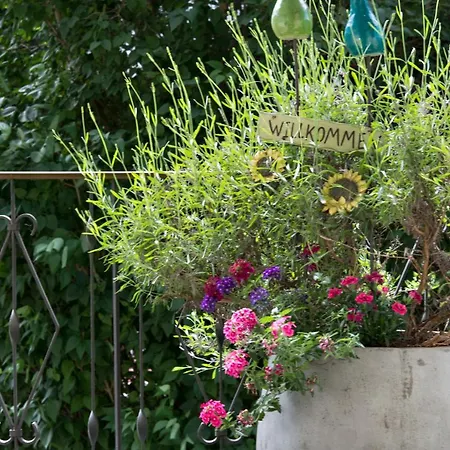 Gasthuis Gaestehaus Hornegger