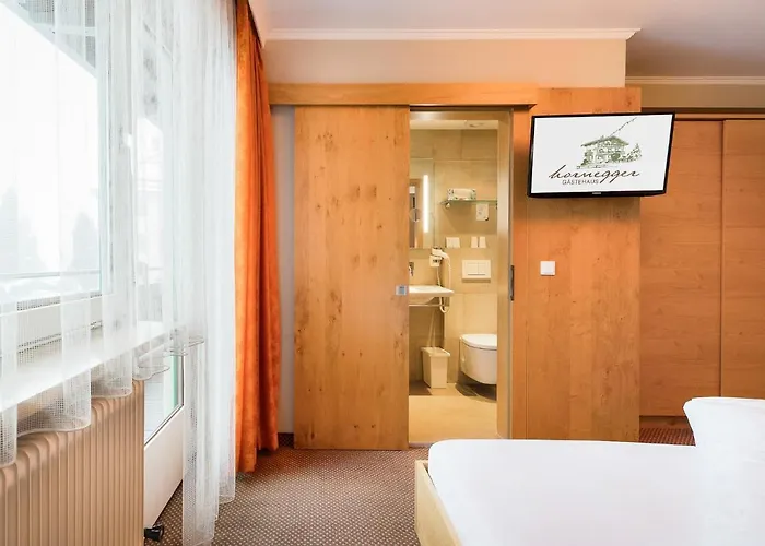 招待所 霍纳格尔旅馆 迈尔霍芬