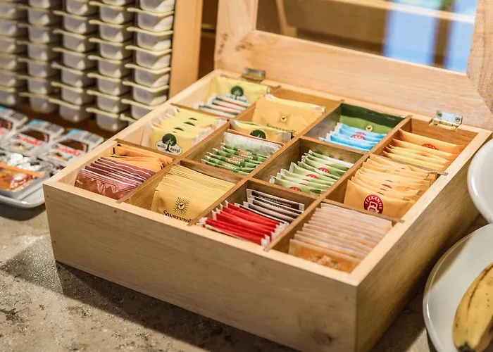 Gaestehaus Hornegger Pensión Mayrhofen