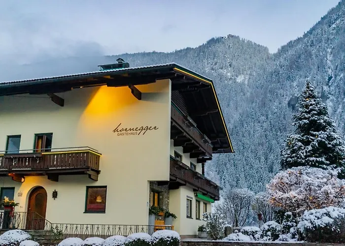 Pensión Gaestehaus Hornegger