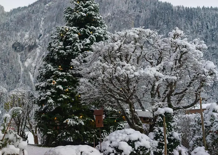 霍纳格尔旅馆 3* 迈尔霍芬
