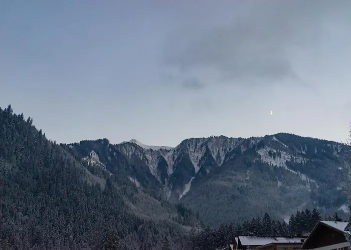 Pensión Gaestehaus Hornegger 3*