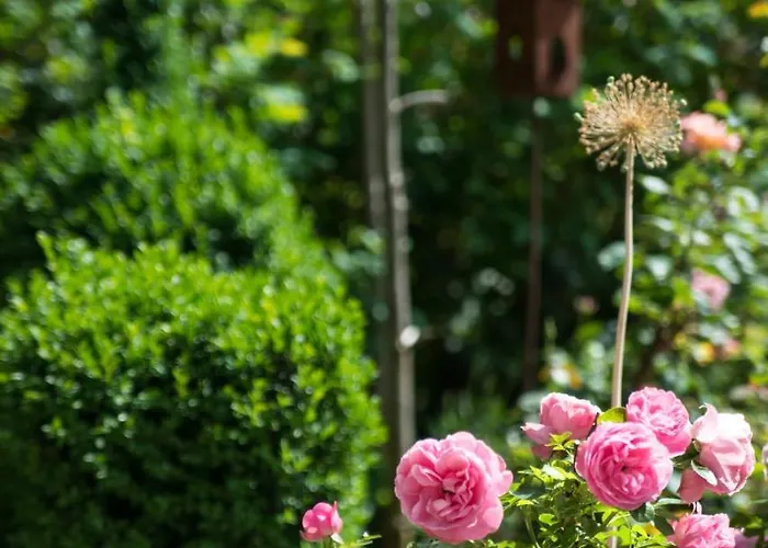 霍纳格尔旅馆 招待所 迈尔霍芬