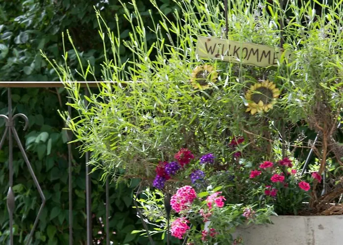 招待所 霍纳格尔旅馆