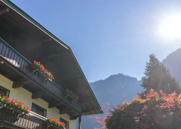 霍纳格尔旅馆 3* 迈尔霍芬