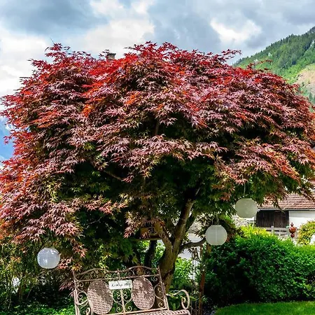 Gaestehaus Hornegger Πανσιόν Mayrhofen